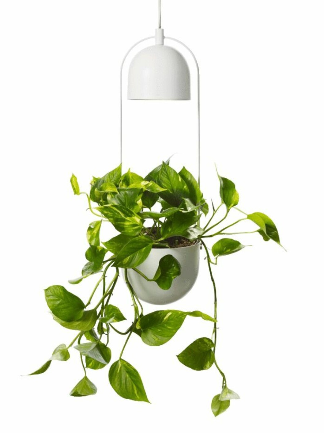Växtbelysning med ampel Alora. Alora hanging pot är perfekt för den som vill visa upp sina växter på ett nytt sätt