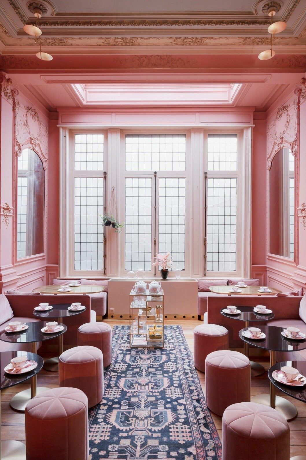 Domestic i Antwerpen