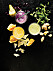 Goda och nyttiga juicer: Rödkålsjuice med ingefära, vitkålsjuice med smak av apelsin och broccolijuice med sting. 