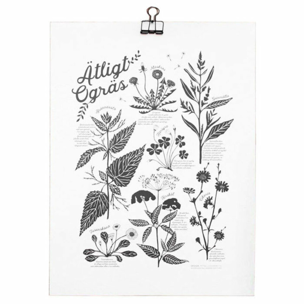 Poster med ätliga ogräs från Scandinavian Design Factory.