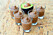 Nyttig chokladmousse på avokado. Foto: Shutterstock