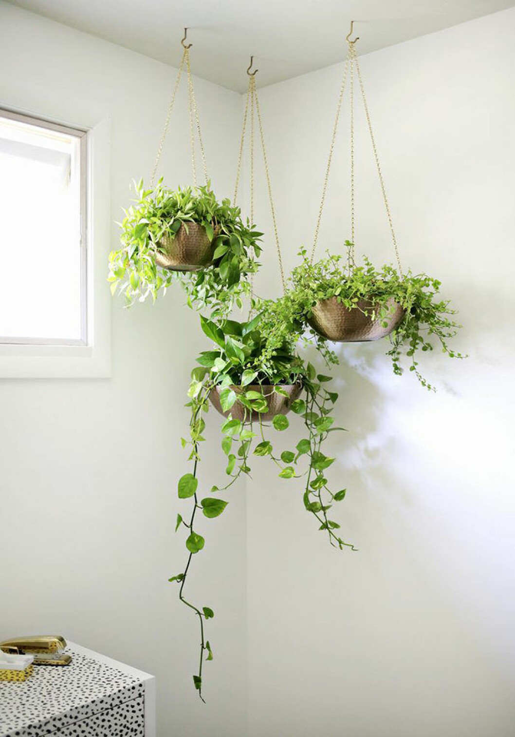 Foto: <a href="http://abeautifulmess.com/2015/09/easy-hanging-planter-diy.html" target="_blank" rel="noopener">A beautiful mess </a> Häng upp växterna i taket.