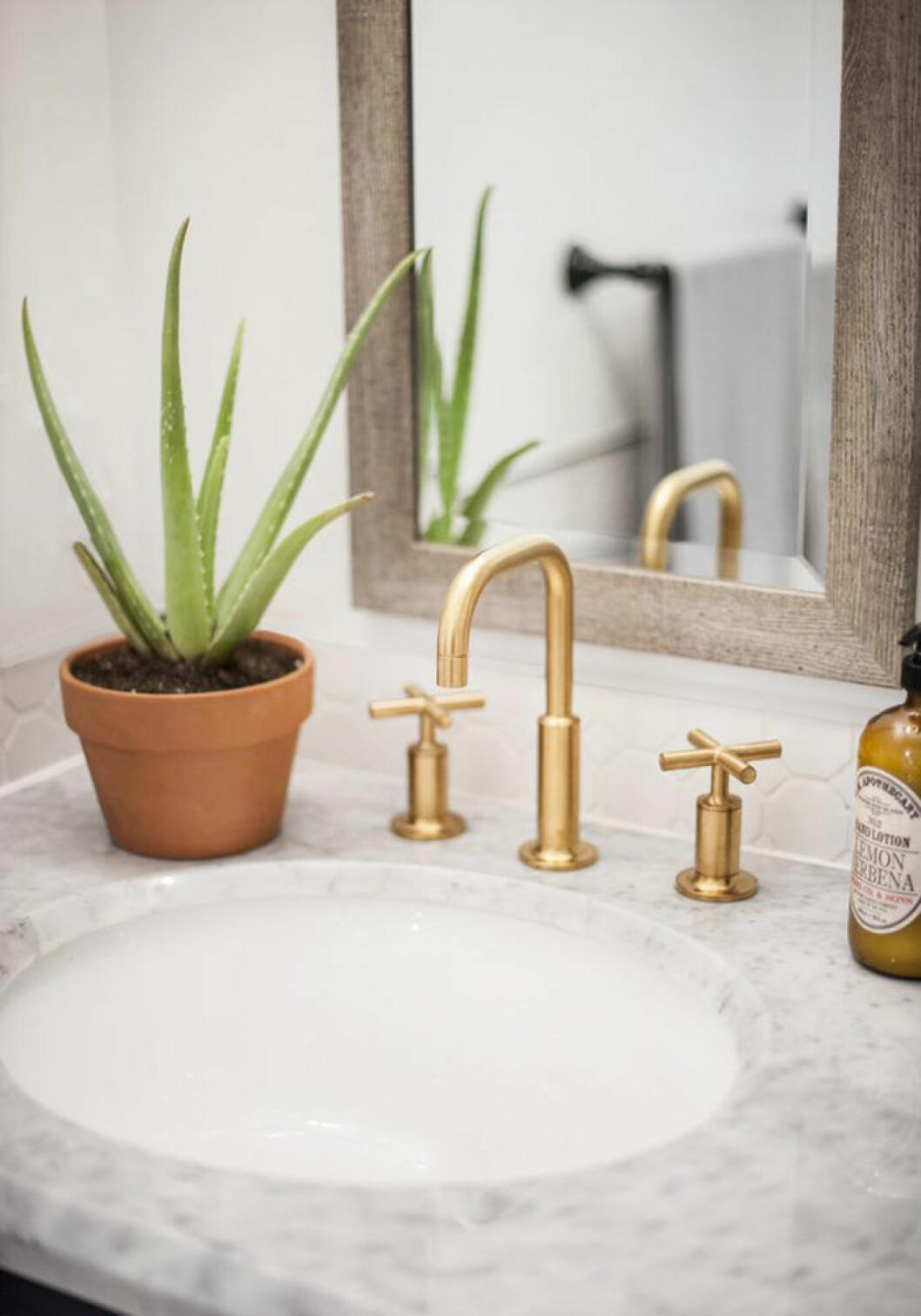 Placera en Aloe Vera vid handfatet. 