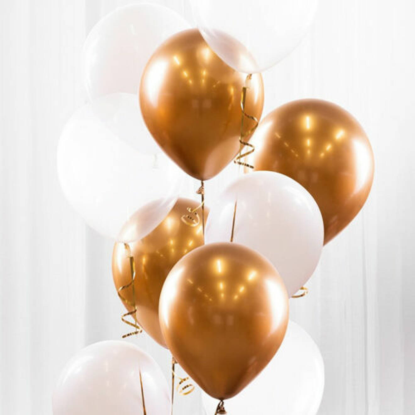 ballonger att fylla med helium till studentmottagning