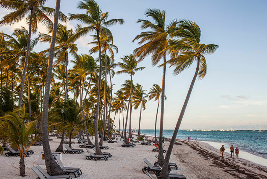 Bavaro Beach, Dominikanska Republiken. Bavaro Beach, Dominikanska Republiken.