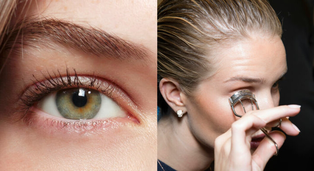 beautyss15_trends