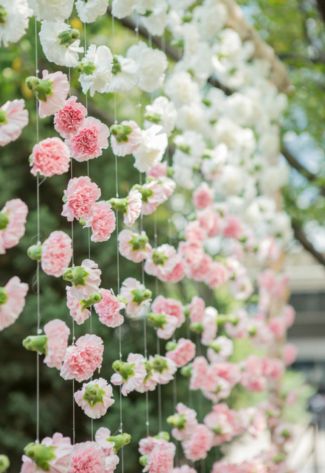 Blomstervägg.