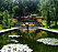 Damm i Botaniska trädgården i Göteborg