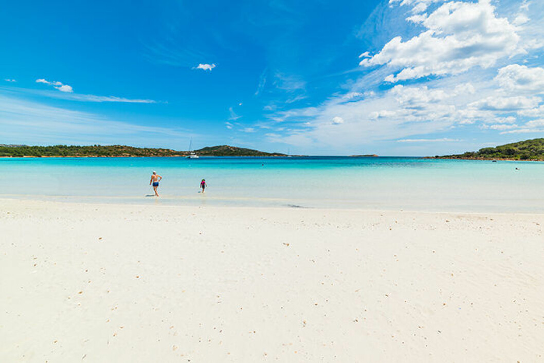 Foto: Shutterstock Cala Brandinchi på Sardinien är en instagramvänlig strand