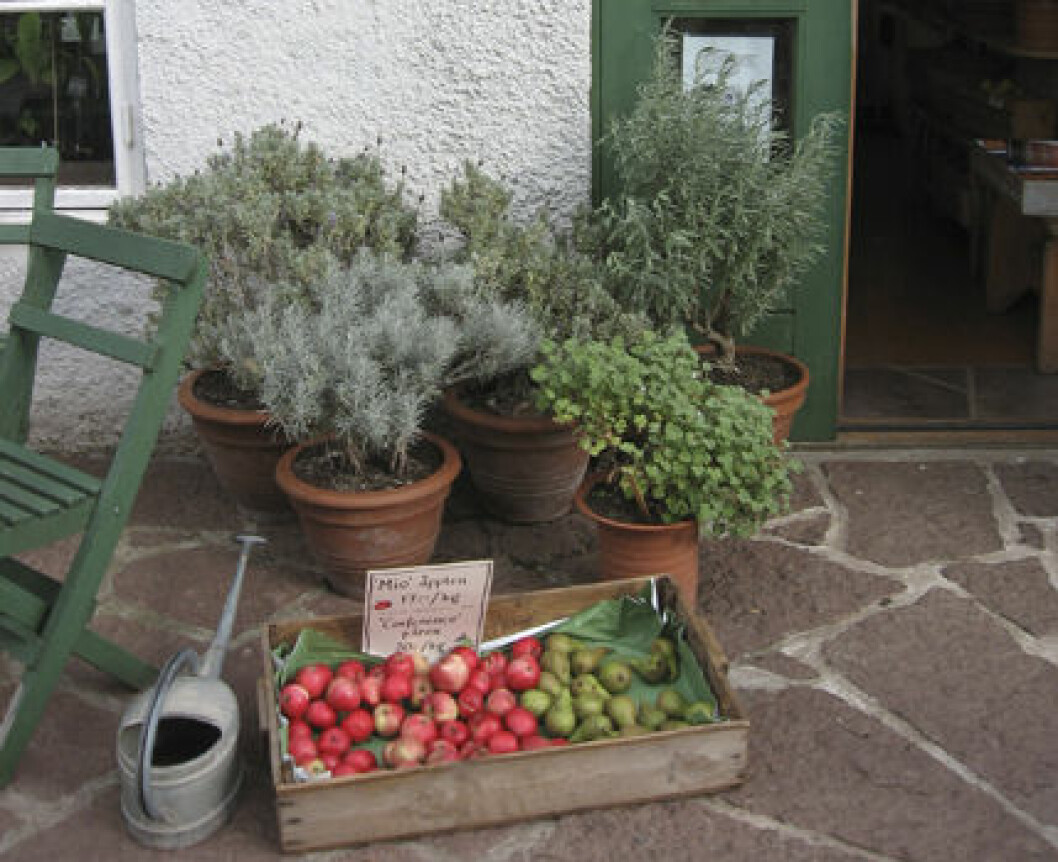 Capellagarden Trädgårdsbutik