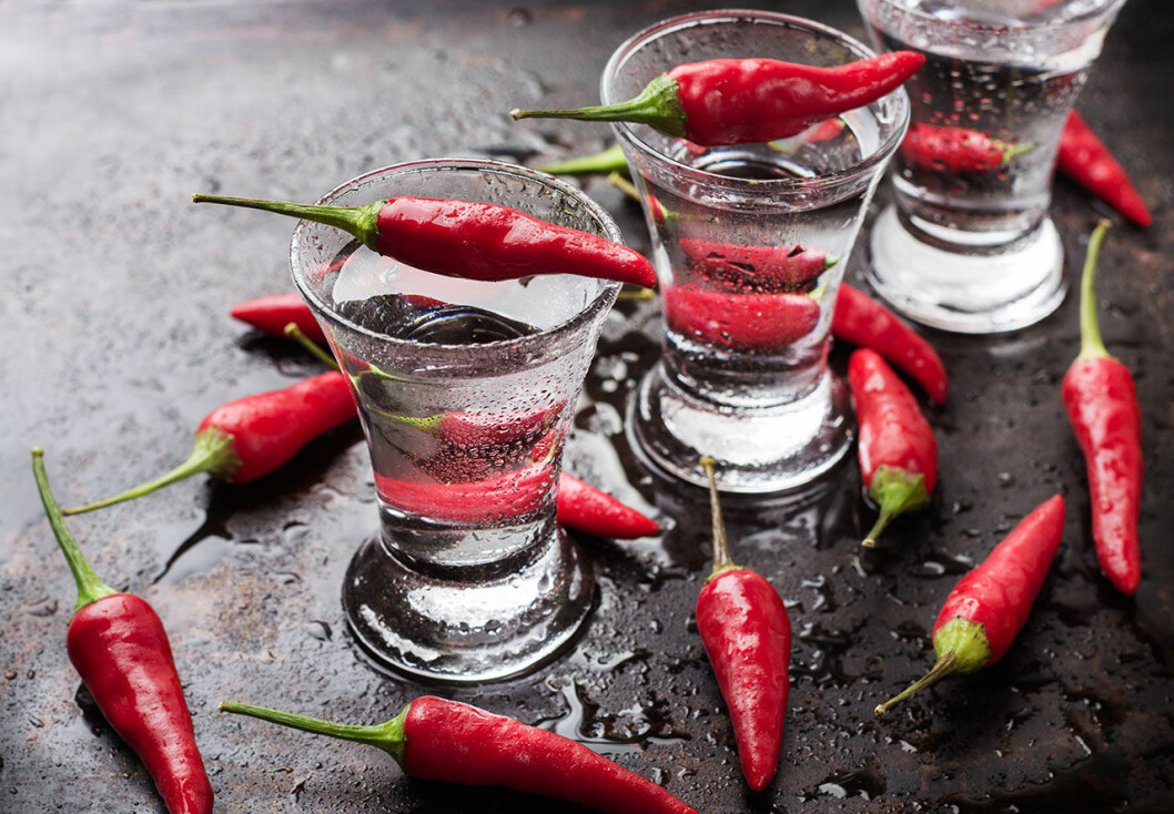 Gör egen chilivodka! Foto: IBL Gör egen chilivodka!
