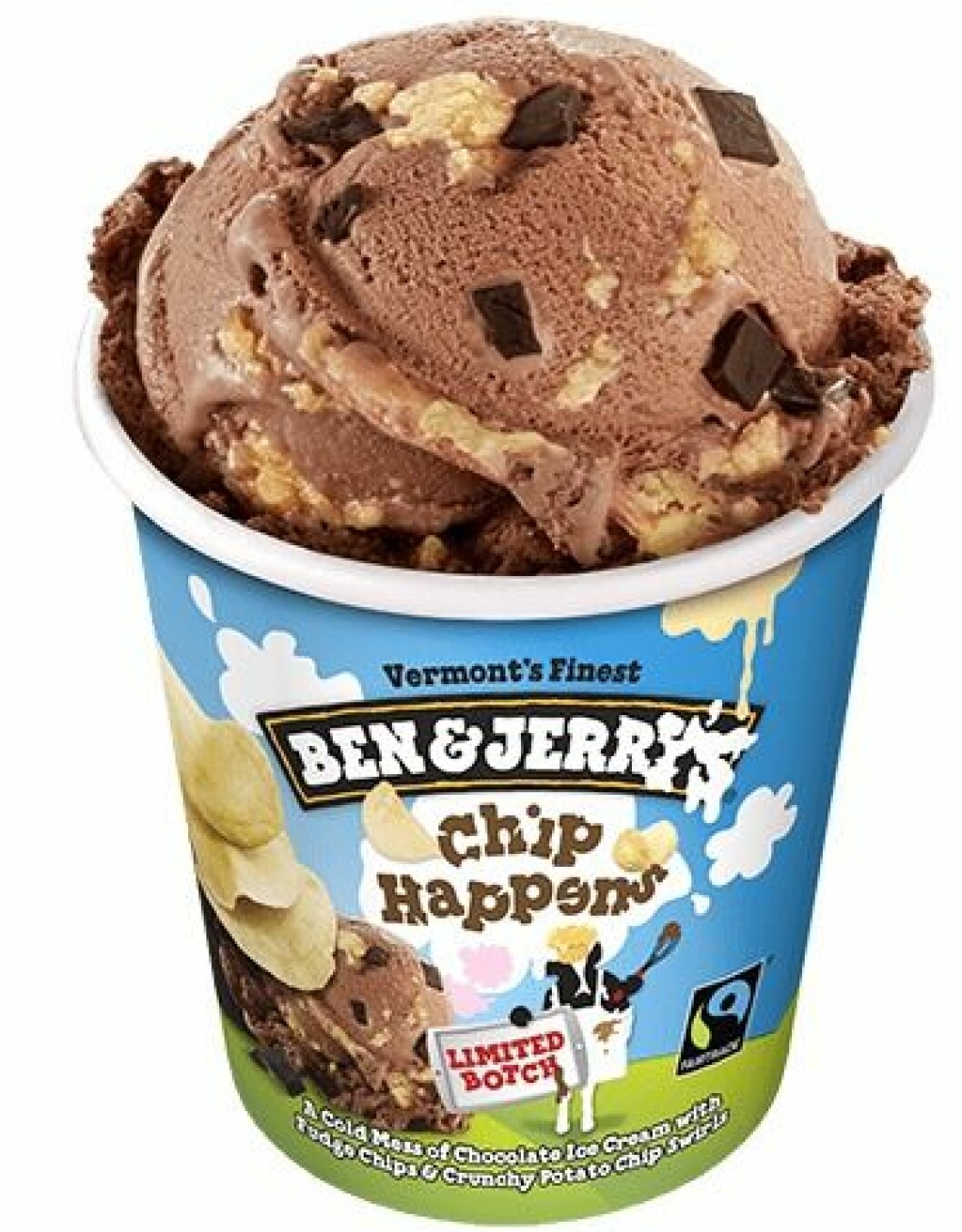 chip happens ben & jerry's pint