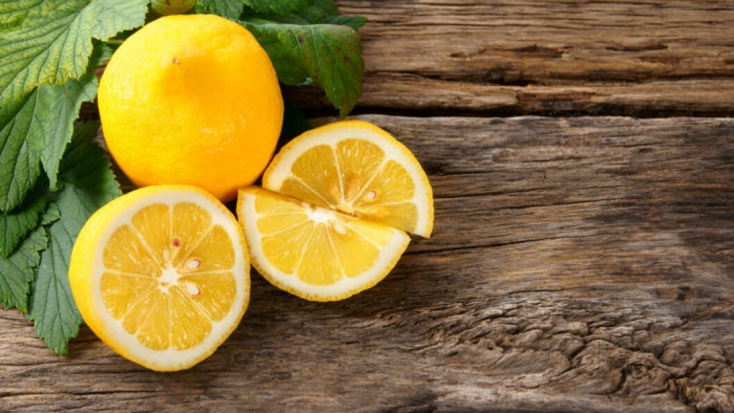 citron_stadning
