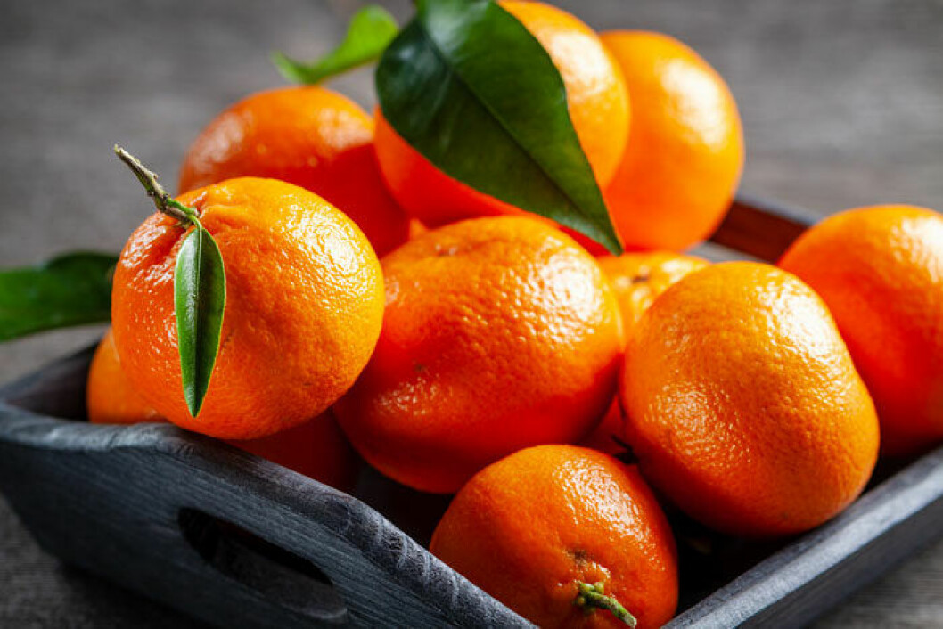 Clementinen är julens stapelvara, det är den småcitrus vi äter mest. 