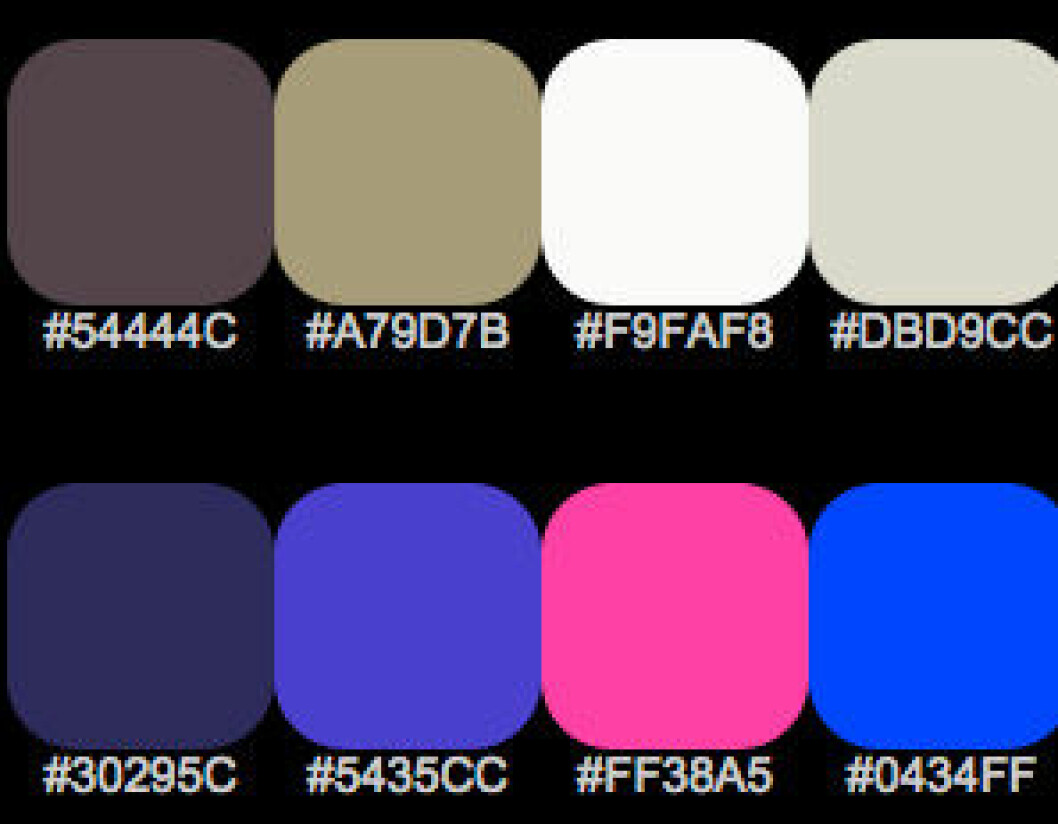 colorhunter