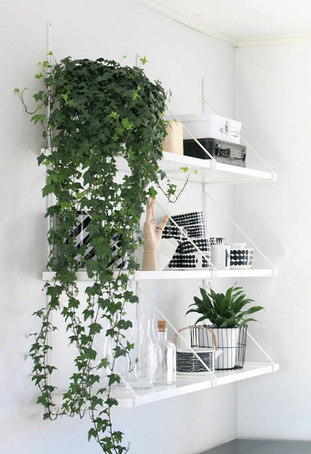Foto: Nordic Days Inred med växter på liten yta med smarta compact living-knep