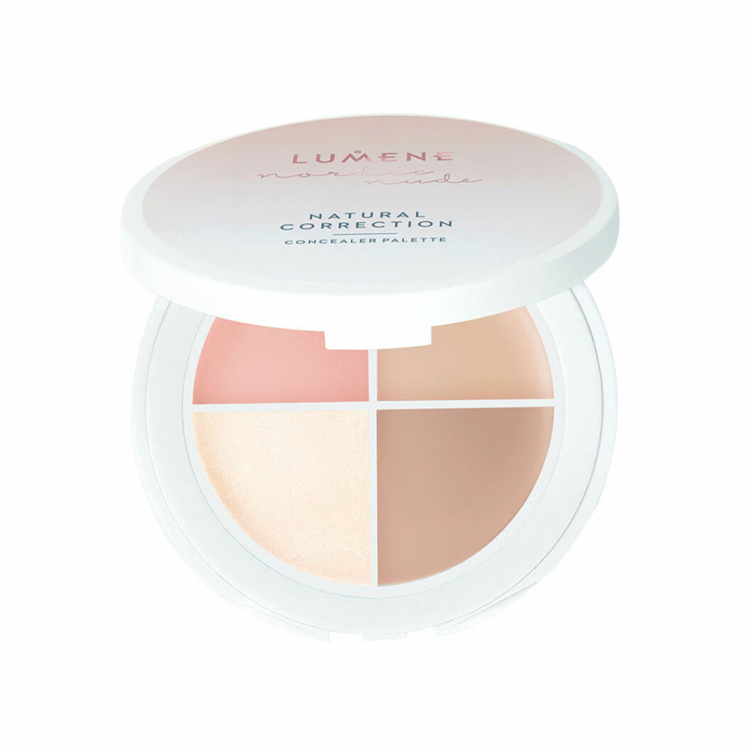 Concealer kit
