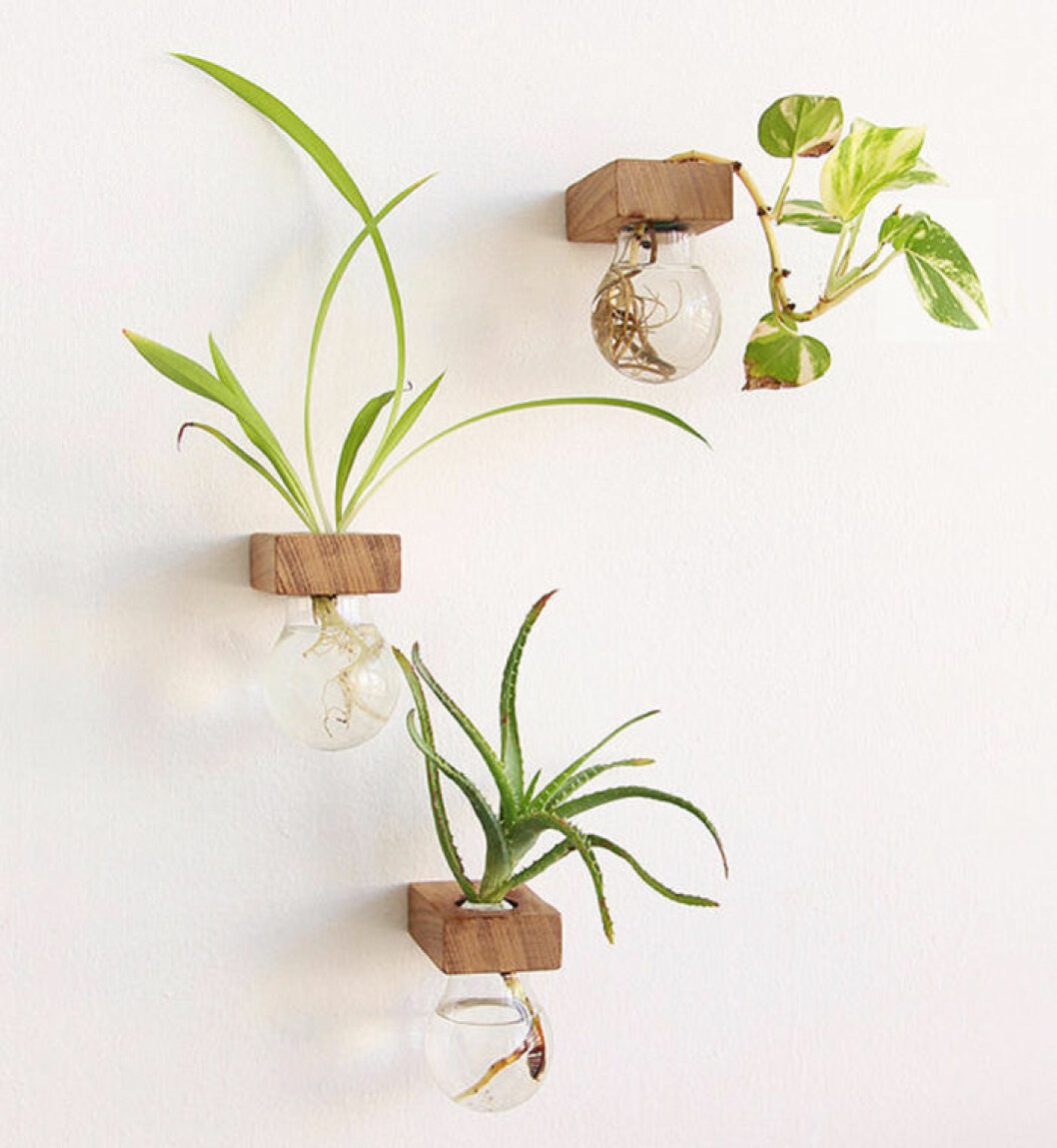 Foto: <a href="https://www.etsy.com/au/listing/255435381/lampa-ii-a-set-of-3-light-bulb-vases" target="_blank" rel="noopener">SuitCaseWorkshop</a> creative-etsy