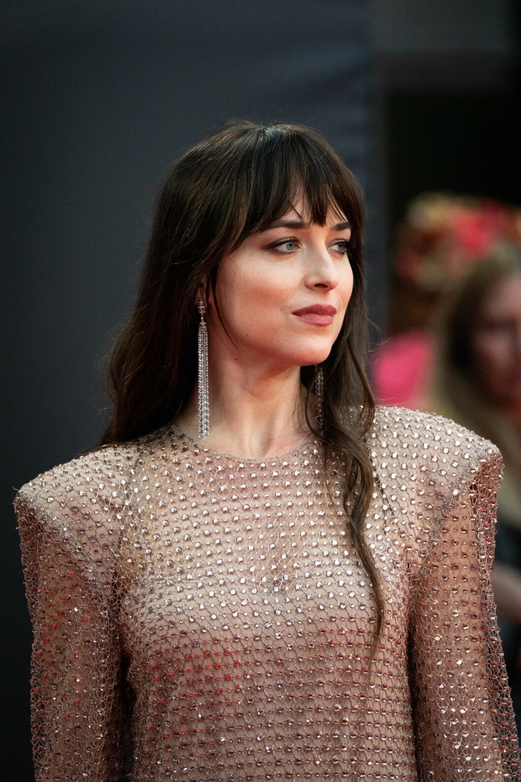 Dakota johnson wolf cut 2.0