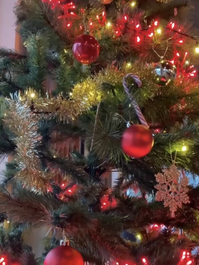 Detaljbild på Josefin Dahlbergs julgran