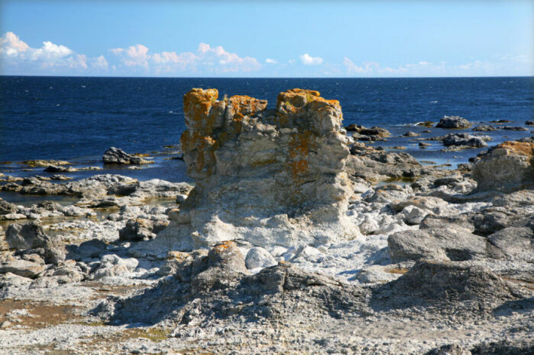 Digerhuvud, Gotland 