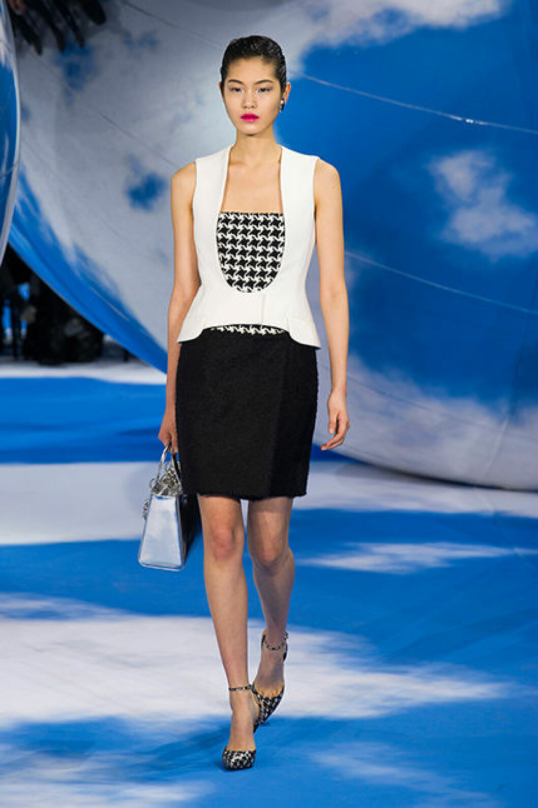 Dior F13 089