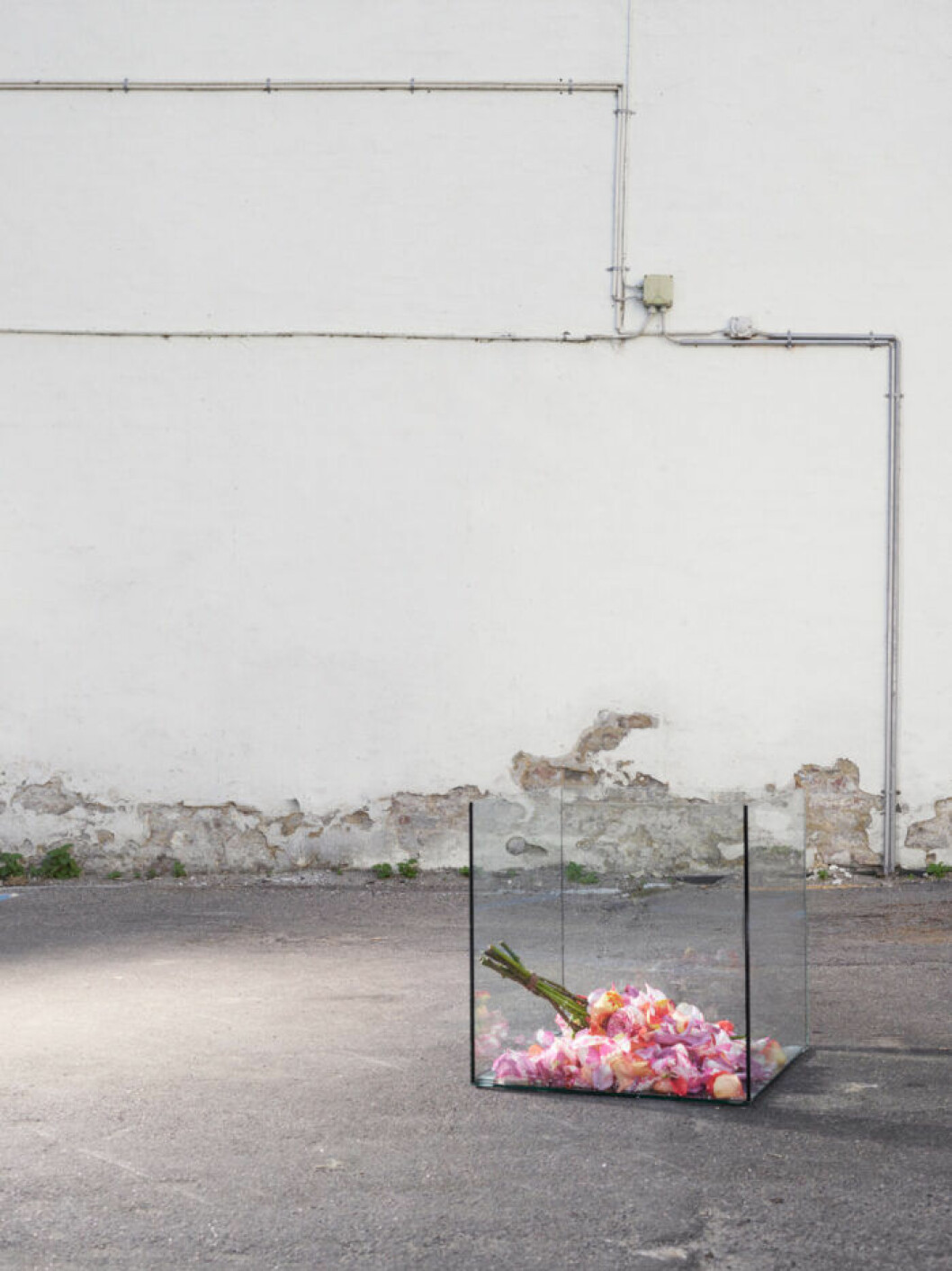 Dive in – Kreativt samarbete mellan Mariya Pepelanova och Poppykalas. Foto: Mariya Pepelanova Dive in – Kreativt samarbete mellan Mariya Pepelanova och Poppykalas Foto Mariya Pepelanova