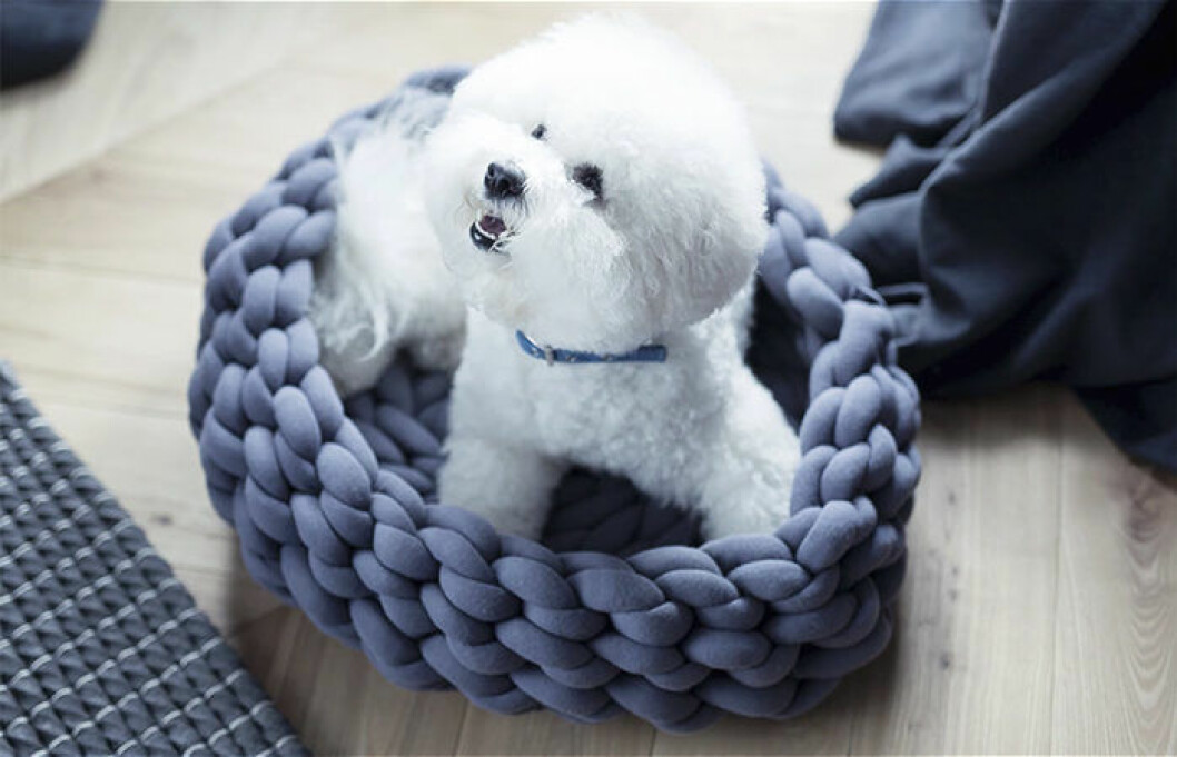 Foto: <a href="https://ohhio.com/blog/ohhio-braid-dog-bed-tutorial/" target="_blank" rel="noopener">Ohhio</a> DIY hundbädd