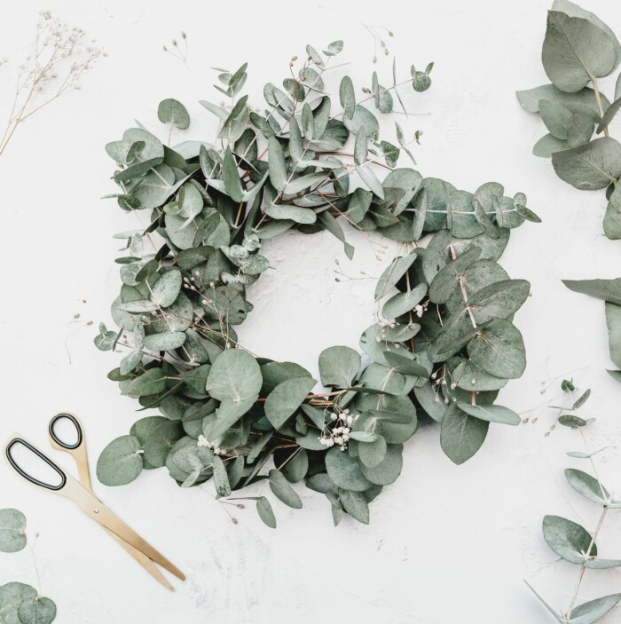 Gör din egen julkrans med vacker (och väldoftande!) eucalyptus. Foto: Georgia de Lotz/Unsplash DIY-julkrans med eucalyptus