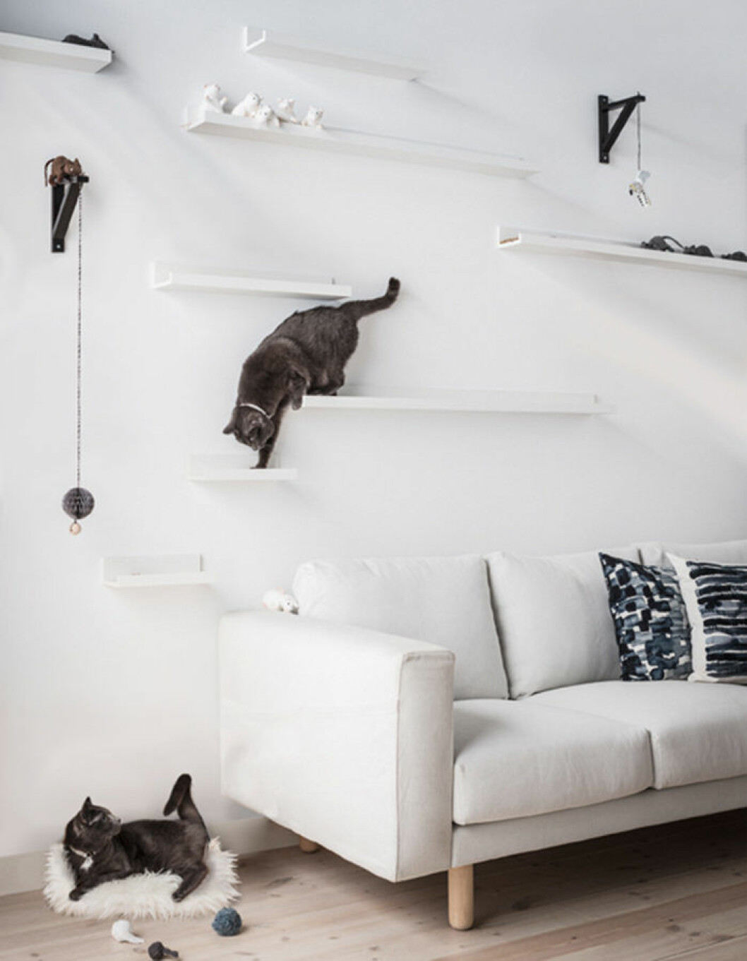 Foto: <a href="http://www.ikea.com/fr/fr/ideas/201743_idde02a/" target="_blank" rel="noopener">Ikea</a> DIY för katt, klättervägg IKEA mosslanda
