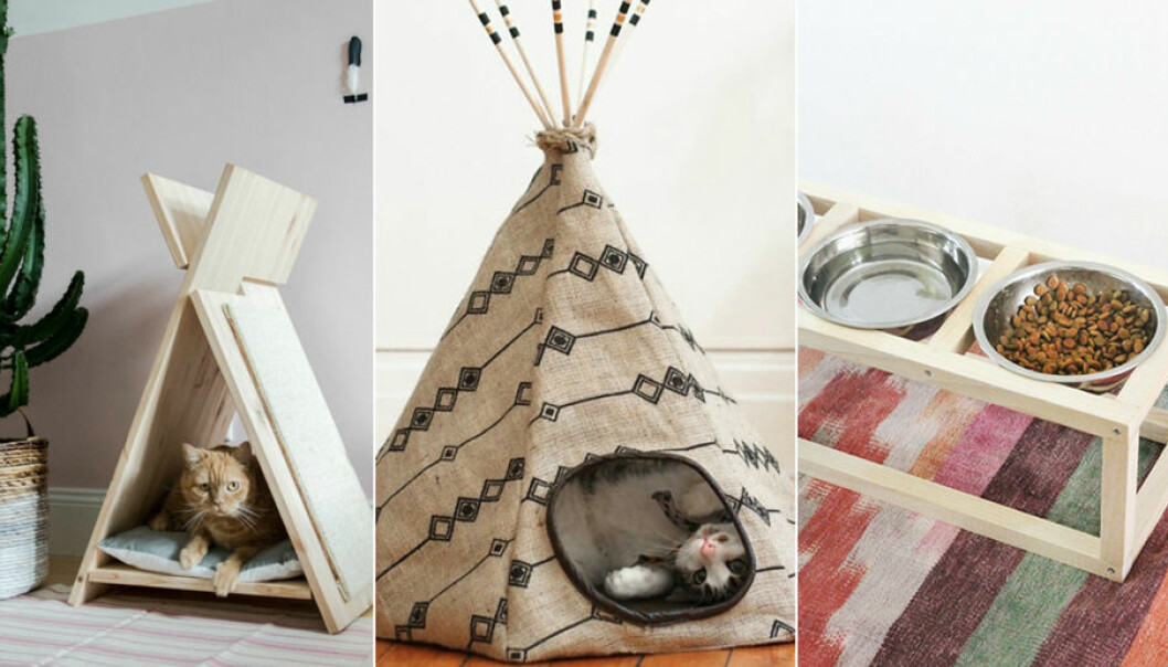 Här är 9 DIY-projekt du kan göra till ditt husdjur