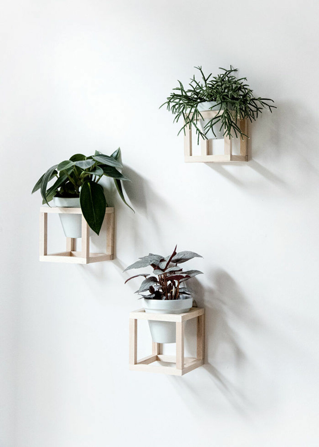 Foto: <a href="https://www.craftifair.com/wohnen-mit-pflanzen-diy-hangende-pflanzenhalter/" target="_blank" rel="noopener">Craftifair</a> Sätt upp växterna på väggen.