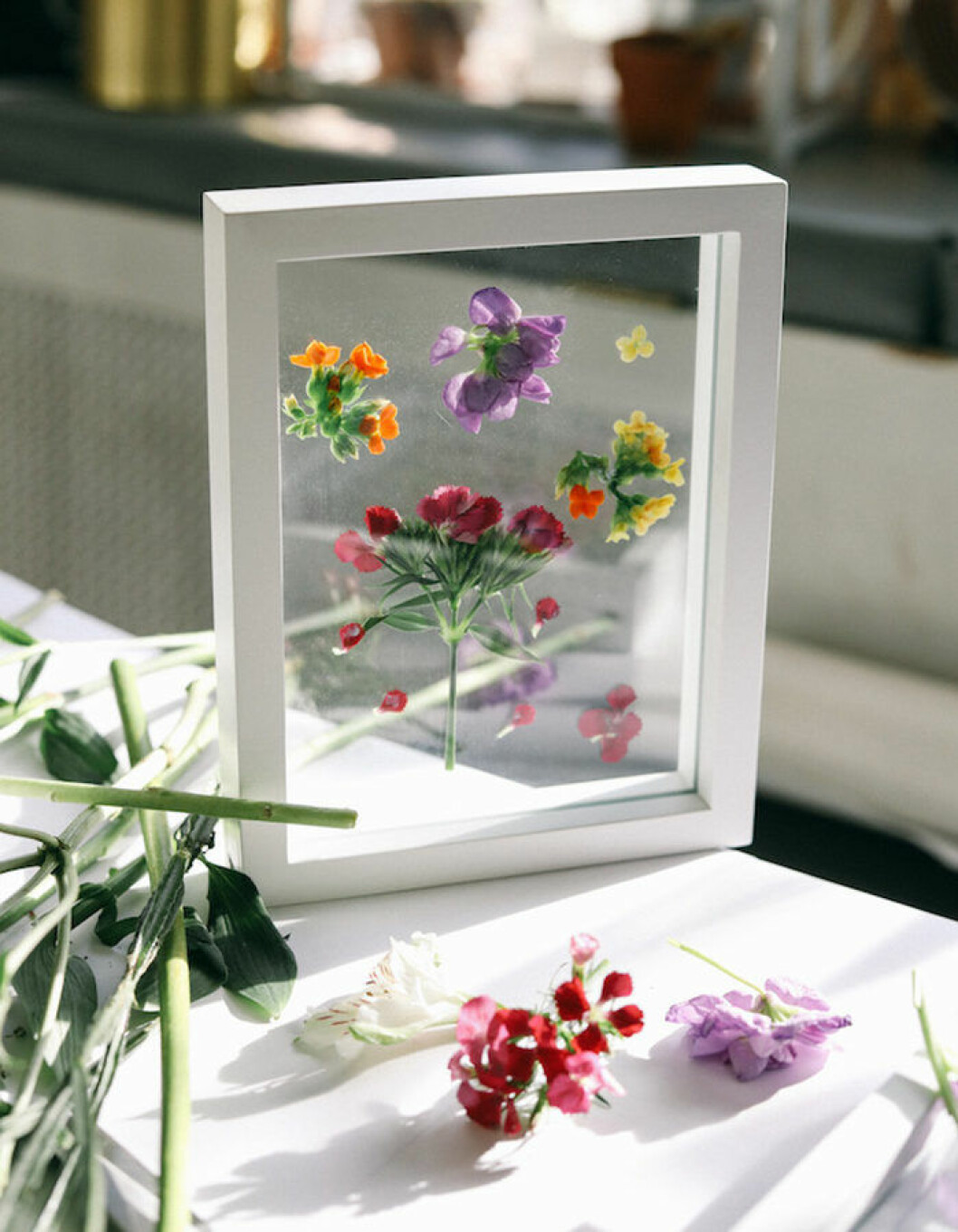 Foto: <a href="https://blog.urbanoutfitters.com/blog/uo_diy_how_to_press_and_frame_flowers?cm_re=Blog_Content-_-B3-_-uo_diy_how_to_press_and_frame_flowers&crlt.pid=camp.SYxd1YRgmFo2" target="_blank" rel="noopener">Urban Outfitters</a> DIY tavla med pressade blommor