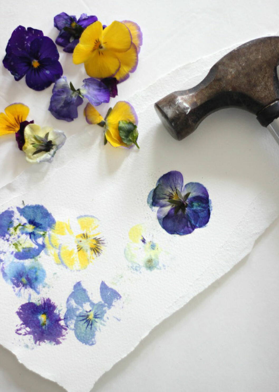 Foto: <a href="http://www.craftberrybush.com/2015/05/art-japanese-pressed-flowers-hapa-zome.html" target="_blank" rel="noopener">Craftberrybush</a> Pressade blommor.