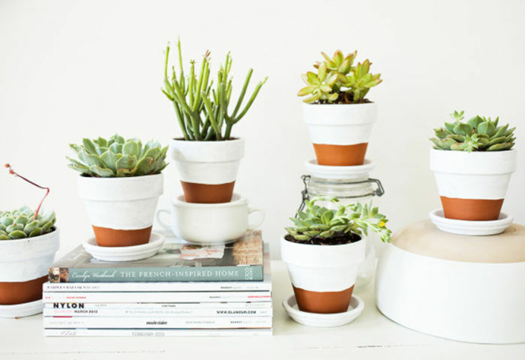 Foto:<a href="http://offbeatandinspired.com/2013/05/30/painted-pots-succulents/" target="_blank" rel="noopener"> Offbeatandinspired</a> DIY – uppdatera krukorna med färg