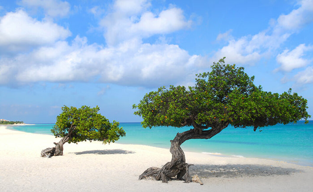 4. Eagle Beach, Aruba 4. Eagle Beach, Aruba