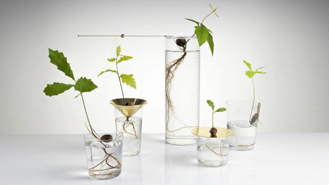 Foto: Michael Anastassiades ekollon-ed