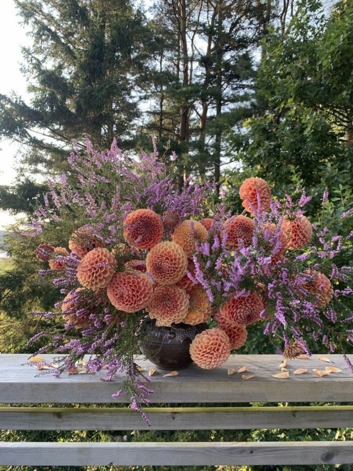 Blomtrender 2021 Emily Bratt Elle Decoration