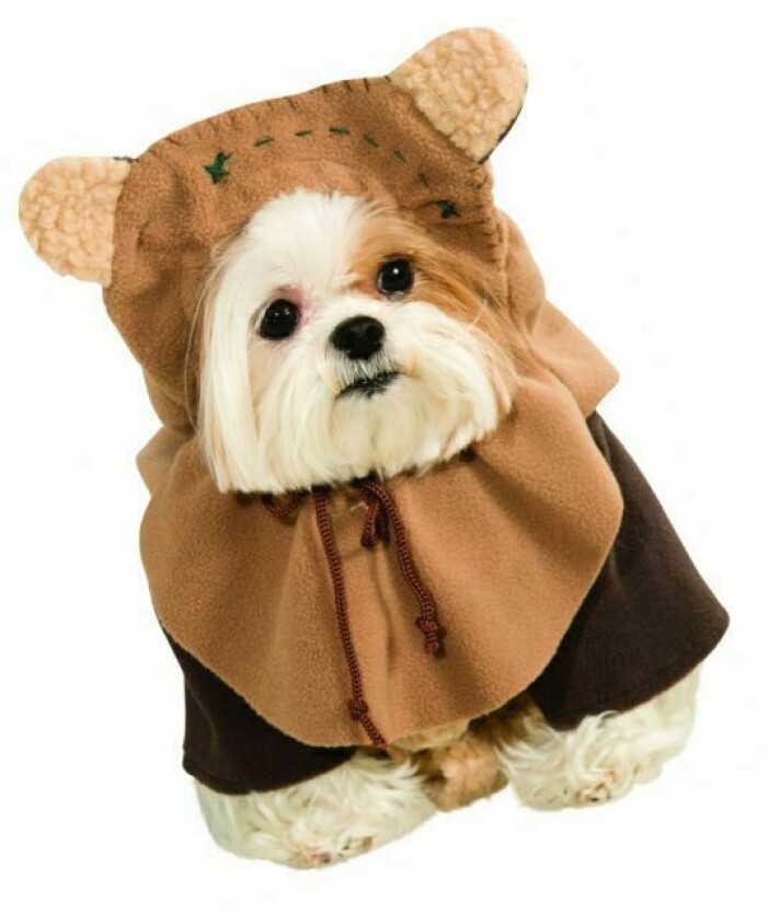 Ewok-kostym till din hund halloween