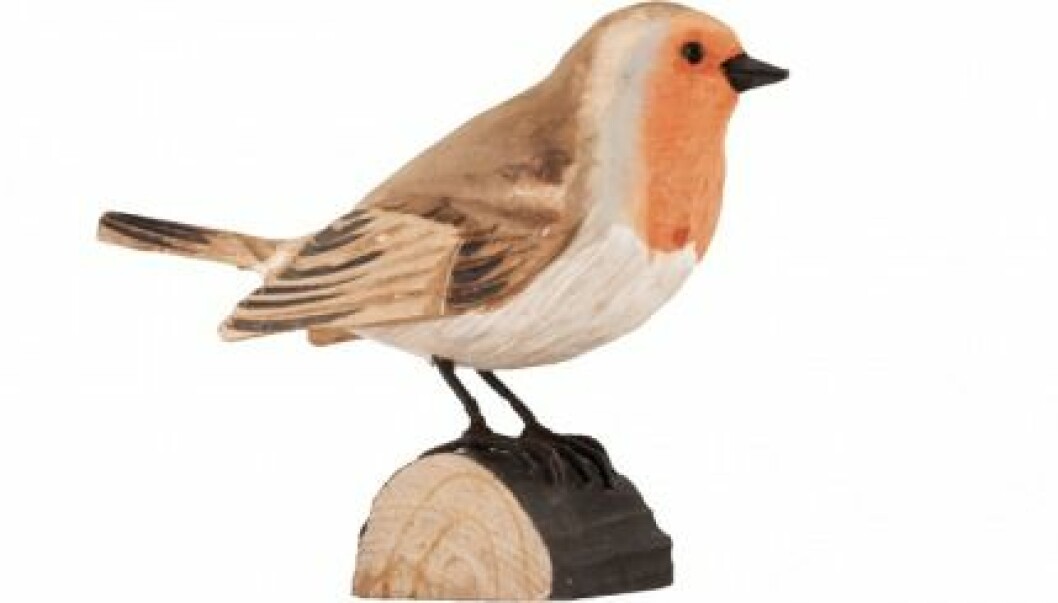 Rödhaken, en lyckans fågel, är en av få insektsätare som övervintrar och därmed kräver extra omsorg. Decobird i handsnidat trä från Wildlife Garden kostar 175 kr. fågel-inredning