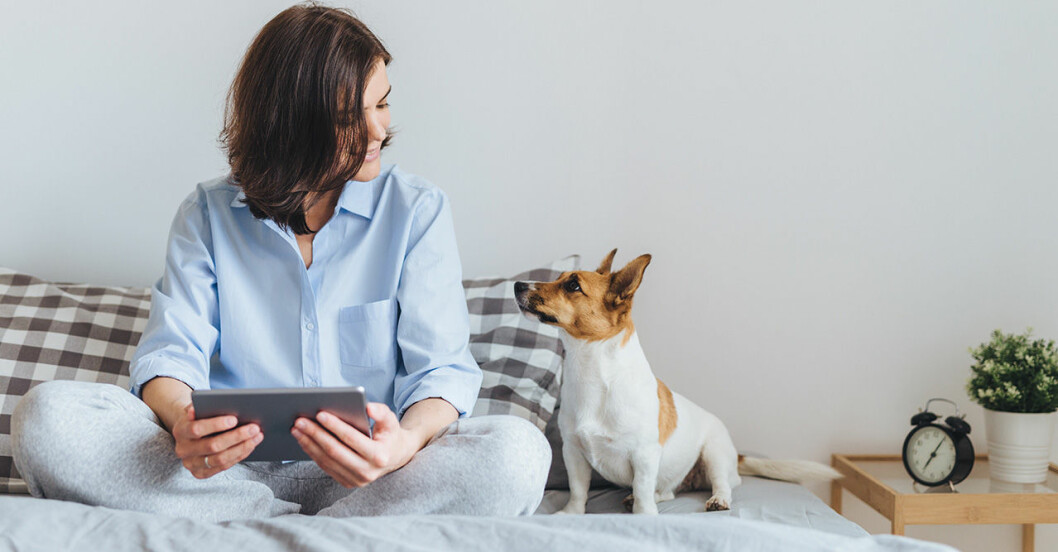 Tänk både på ordval och tonläge när du pratar med din hund – hen förstår dig bättre än du tror! Foto: IBL