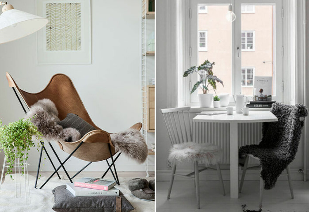 Fårfällar är populära inredningsdetaljer i det skandinaviska stuket