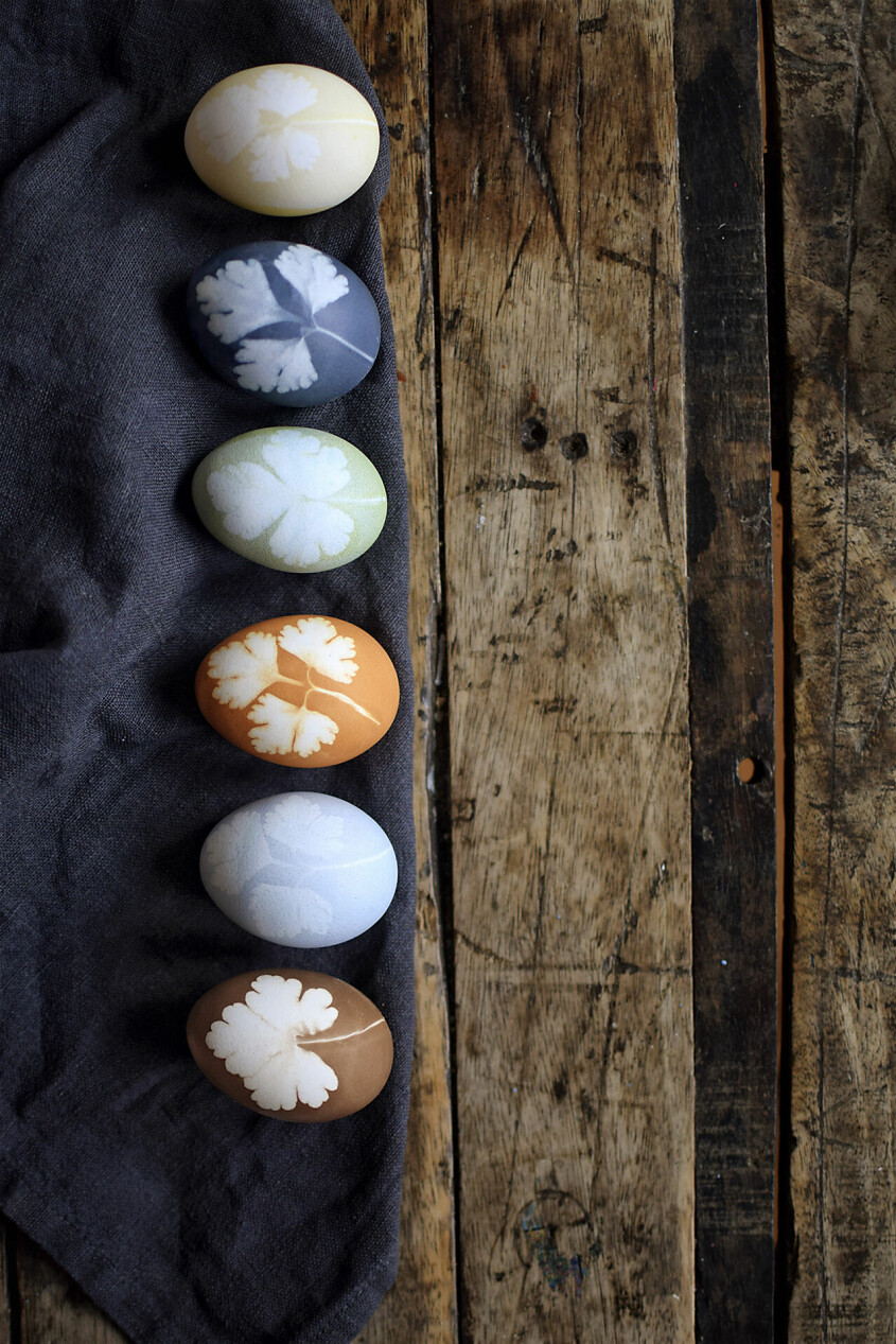 Det är enkelt att färga ägg helt naturligt – gör så här