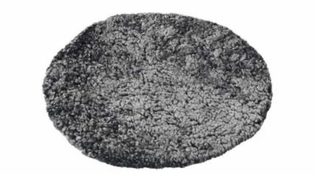 Den perfekta sittdynan till utflykten är av fårskinn, 33 cm i diameter, 295 kr, Svenssons i Lammhult. fårskinnspäls-svenssons