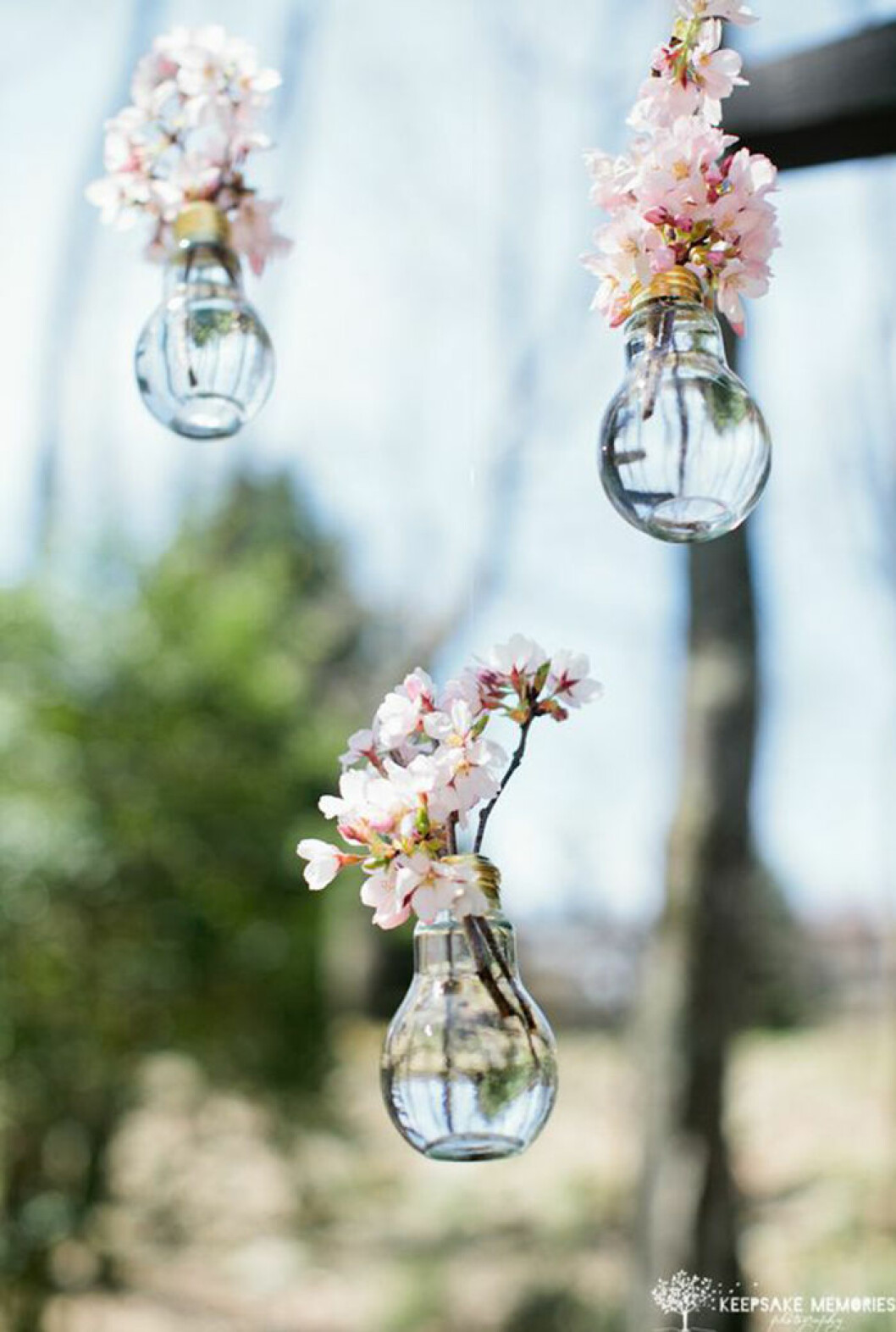 Häng upp körsbärsblom. Foto: <a href="https://www.creativestyle.net.nz/collections/industrial-chic/products/light-bulbs-hanging-with-side-opening" target="_blank" rel="noopener">Keepsake memories photography via Creativestyle</a> Häng upp körsbärsblom.