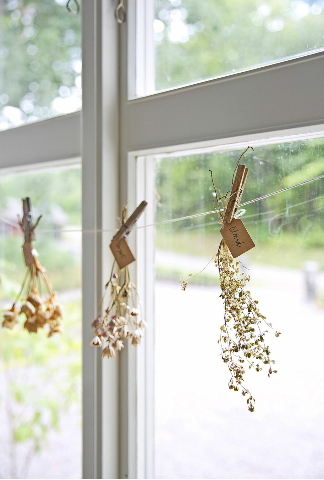 Blombuketter och dekorationer som är enkla att göra själv i sommar 