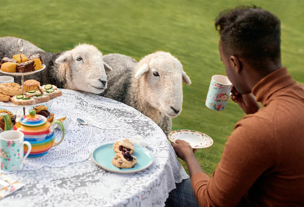 Afternoon tea med får i Skottland – en upplevelse på Airbnb