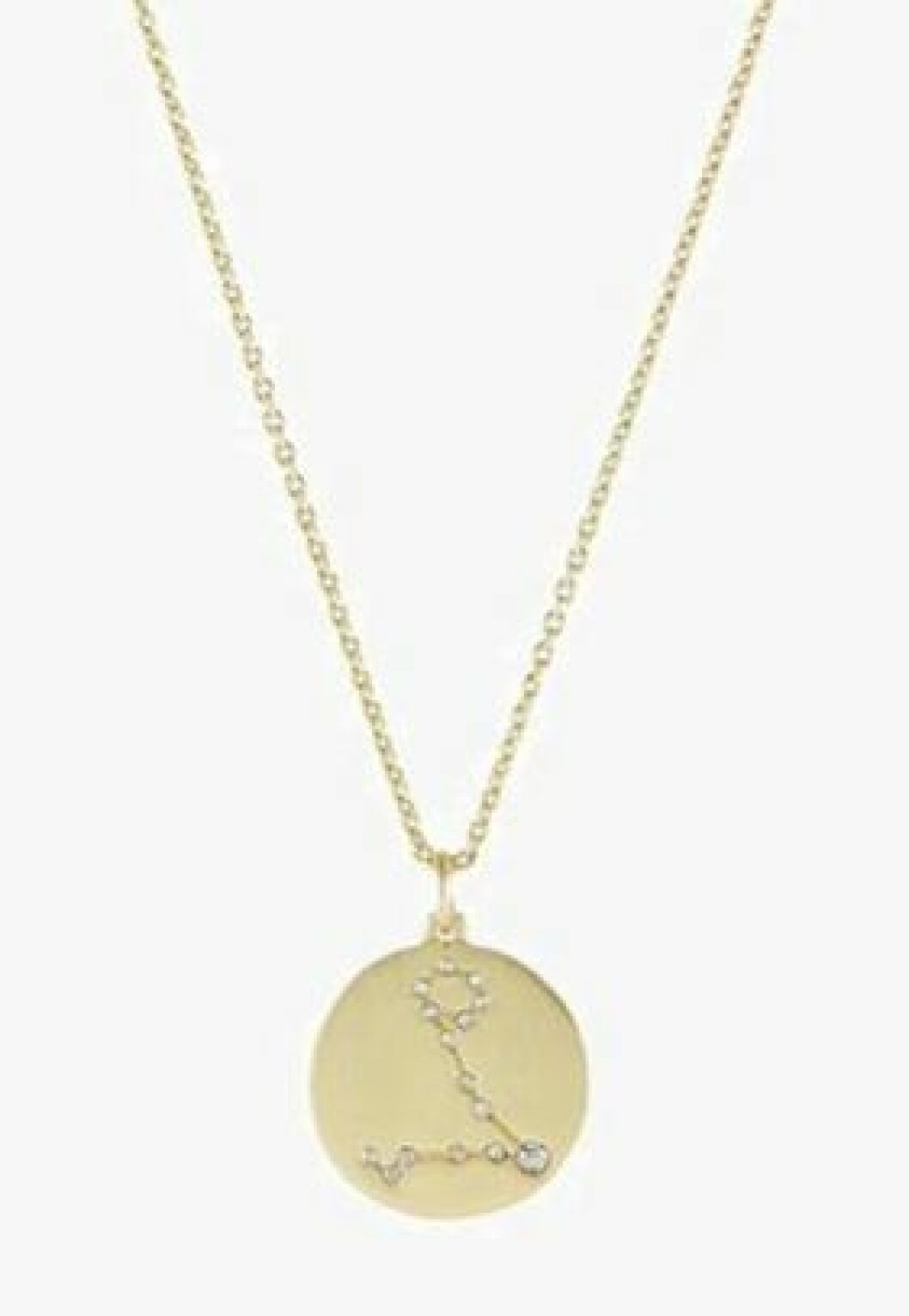 Fiskarna horoskop halsband i guld