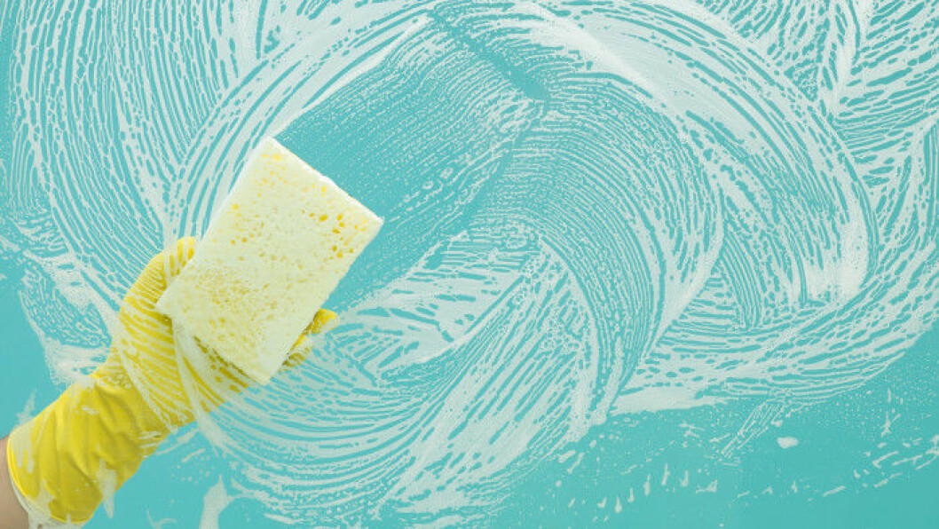 Foto: Shutterstock fonsterputsning