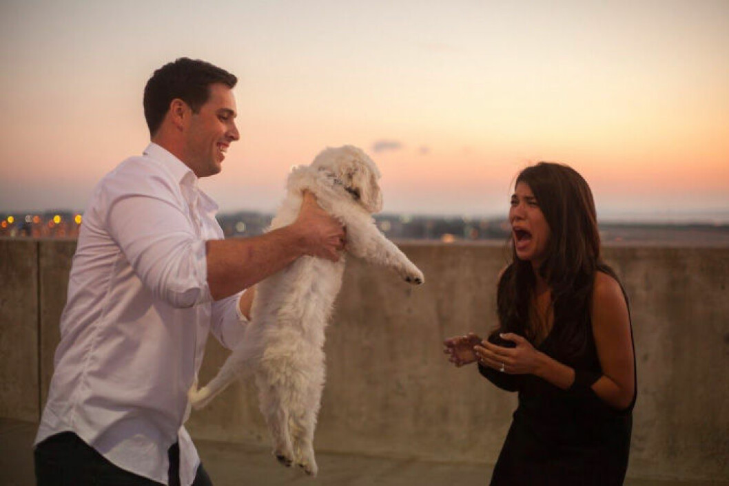 Via: <a href="http://howheasked.com/man-gives-fiance-puppy-and-engagement-ring/" target="_blank" rel="noopener">how he asked</a> Man som precis har friat ger sin fru en hundvalp